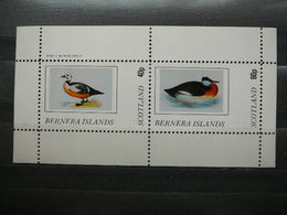 Birds  Ducks # Scotland - Bernera # 1982 MNH S/s # - Entenvögel