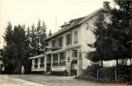 SAINT PAUL LES MONESTIER HOTEL DU PETIT LAC AU SANS SOUCI - Andere & Zonder Classificatie