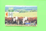 URUGUAY  -  Chip Phonecard As Scan - Altri – Africa