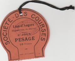 49 - LION-D'ANGERS - Société Des Courses De Chevaux - Pesage - Material Und Zubehör