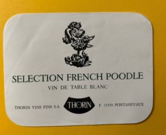 10055 - Sélection French Poodle Thorin - Perros