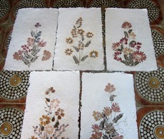 Vintage France Lot 5 Feuilles Bouquet De Fleurs Plantes Séchées Pressées Papier Chiffon Fabriqués Recyclés Chutes Tissus - Other & Unclassified