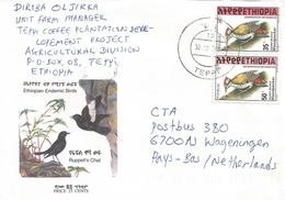 Ethiopia 2000 Teppi Woodpecker Cover - Ethiopie