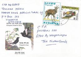 Ethiopia 2000 Hosana Woodpecker Bushbuck Cover - Ethiopie