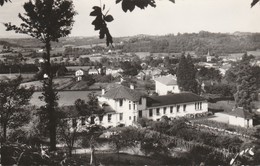 65 - TOURNAY - L' Aérium De La Ville - Tournay