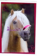 Image Autocollant PANINI Horse Les CHEVAUX Une Aventure Incroyable 102/208 - Altri & Non Classificati