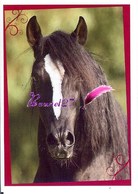 Image Autocollant PANINI Horse Les CHEVAUX Une Aventure Incroyable 98/208 - Otros & Sin Clasificación