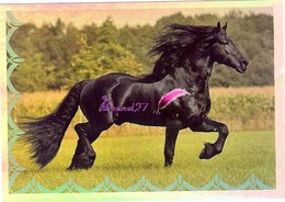 Image Autocollant PANINI Horse Les CHEVAUX Une Aventure Incroyable 47/208 HOLO - Other & Unclassified