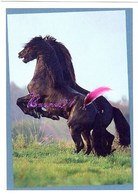 Image Autocollant PANINI Horse Les CHEVAUX Une Aventure Incroyable 48/208 - Sonstige & Ohne Zuordnung