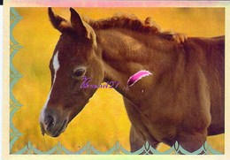 Image Autocollant PANINI Horse Les CHEVAUX Une Aventure Incroyable 12/208 HOLO - Sonstige & Ohne Zuordnung