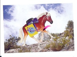 Image Autocollant PANINI Horse Les CHEVAUX Une Aventure Incroyable 203/208 - Autres & Non Classés