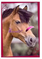 Image Autocollant PANINI Horse Les CHEVAUX Une Aventure Incroyable 97/208 - Autres & Non Classés