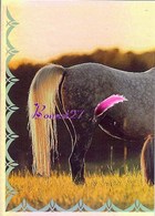 Image Autocollant PANINI Horse Les CHEVAUX Une Aventure Incroyable 1/208 HOLO - Altri & Non Classificati