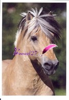 Image Autocollant PANINI Horse Les CHEVAUX Une Aventure Incroyable 58/208 - Other & Unclassified