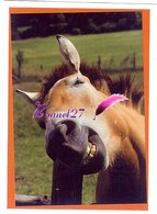 Image Autocollant PANINI Horse Les CHEVAUX Une Aventure Incroyable 149/208 - Other & Unclassified