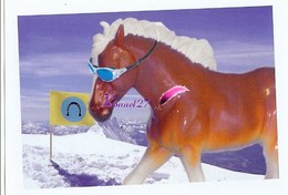 Image Autocollant PANINI Horse Les CHEVAUX Une Aventure Incroyable 204/208 - Autres & Non Classés