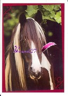 Image Autocollant PANINI Horse Les CHEVAUX Une Aventure Incroyable 103/208 - Autres & Non Classés