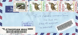 Ethiopia 2005 Dire Dawa Swallow Endemic Bird Bushbuck Registered Cover - Ethiopie