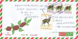 Ethiopia 2011 Dera Bushbuck Cover - Ethiopie