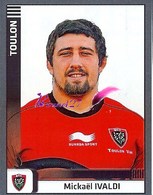 Image PANINI Sport RUGBY 2012-2013 (top 14 Pro D2) N° 315 Toulon Mickael IVALDI - Other & Unclassified