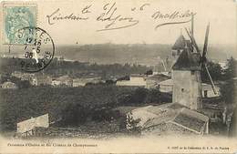 - Loire Atlantique - Ref-B1007- Oudon - Panorama Et Vue Des Coteaux De Champtoceaux - Maine Et Loire - Moulins A Vent - - Oudon