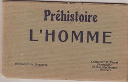 Préhistoire . L'HOMME . 12 CP . - History