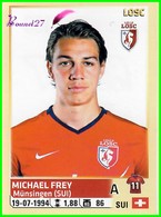 PANINI Foot 2014-2015 Equipe Du LOSC - Michael FREY N° 163 - Other & Unclassified