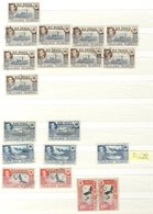 STOCK BOOKS (2) Containing USA UM (face Value $58), 2nd Containing Falklands Duplicated KGVI Defins M Or U 1/3d, F.I.D M - Sonstige & Ohne Zuordnung