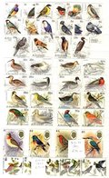 BIRDS Collection Of UM Stamps & M/Sheets A-Z Laid Out In Two Stock Books Incl. Aitutaki Long Defin Set (36),m Barbuda De - Autres & Non Classés