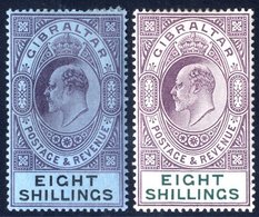 1903 CCA 8s Dull Purple & Black/blue & 1906-11 MCCA 8s Purple & Green, Both M, SG.54 & 74. (2) Cat. £420 - Autres & Non Classés