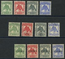 1911 Pandanus Pine Set M, Another FU & Another Optd SPECIMEN, SG.9/11, 9s/11s. (12) Cat. £250. - Other & Unclassified