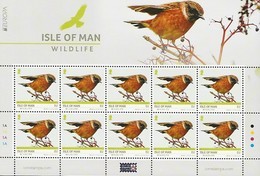 ISLE Of MAN 2019 - EUROPA 2019 - WILDLIFE -"AVES - BIRDS  - VÖGEL - OISEAUX"-  FEUILLE De 10 TIMBRES - 2019