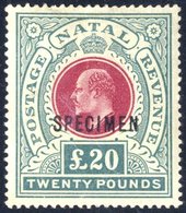 1902 CCC £20 Red & Green Ovptd 'SPECIMEN' (Samuel Type D12a), Fine With Toned Gum, SG.145bs. (1) Cat. £650 - Sonstige & Ohne Zuordnung