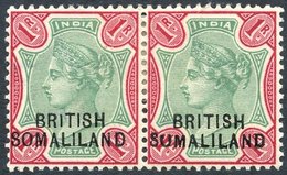 1903 Sept 1r Green & Aniline Carmine, Fine M Horizontal Pair Incl. Variety 'SUMALILAND' For SOMALILAND, SG.21b. (2) Cat. - Autres & Non Classés