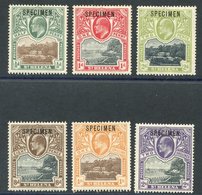 1903 CCC Set Optd SPECIMEN, Minor Gum Creases, SG.55/60. Cat. £275 (6) - Autres & Non Classés