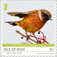 ISLE OF MAN INSEL MAN 2019 EUROPA BIRDS Stamp MNH ** - 2019