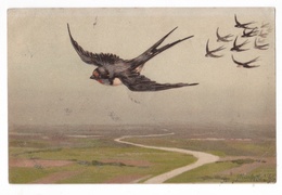 Illustrateur Alfred Mailick, Hirondelles, Oiseaux, 1905, éd. WW N° 5669 - Mailick, Alfred