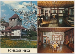 Schloss Hegi - Winterthur Hegi - Winterthur