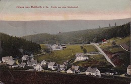 AK Gruss Aus Hallbach I. Sa. - Partie Aus Dem Niederdorf - 1910 (39931) - Olbernhau