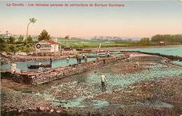 LA CORUNA LOS FAMOSOS PARQUES DE OSTRICULTURA ENRIQUE CARNICERO ESPANA PHOTOCHROME 1900 - La Coruña