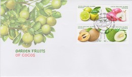 Cocos (Keeling) Islands 2017 Garden Fruits, FDC,A - Cocos (Keeling) Islands