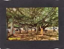 84550    Stati  Uniti,   Banyan Tree,  Lahaina, Maui,  Hawaii,  NV - Maui