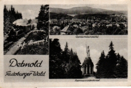 Detmold, Teutoburger Wald, Dampflokomotive, Mehrbild-AK, Ca. 40er Jahre - Detmold