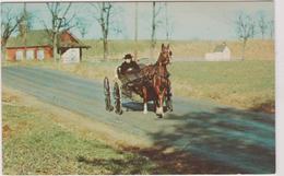 Etats-unis Amish Country Greetings From - Altri & Non Classificati