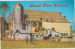 Etats-unis Amish Country Amish Barn Raising - Altri & Non Classificati