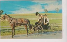 Etats-unis Amish Country Courting Buggy - Other & Unclassified