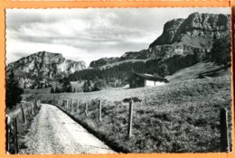 CAL1240, Axalp, Brienzerbergstrasse, 1497, édit. Schild - Bichsel, Circulée 1950 - Brienz