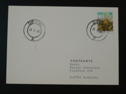 Obliteration Postmark Devon Afrique Du Sud South Africa 1982 - Lettres & Documents