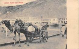 Delcampe - YEMEN - ADEN - CAMEL WATER CART - Jemen
