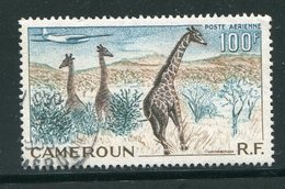 CAMEROUN- P.A Y&T N°47- Oblitéré (girafes) - Poste Aérienne